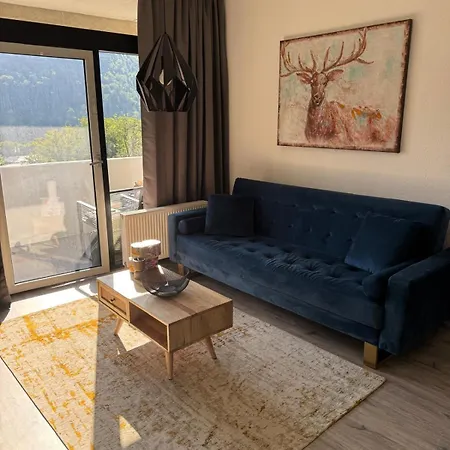 Appartement Schoene Aussicht - Charmante Mit Pool Und Sauna In
